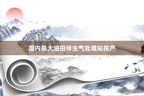 国内最大油田伴生气处理站投产