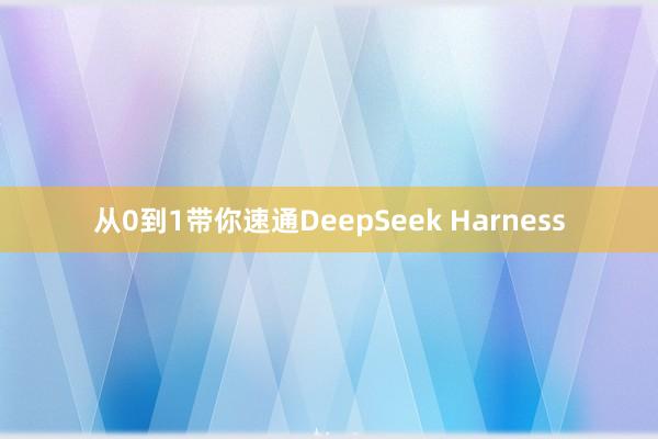 从0到1带你速通DeepSeek Harness