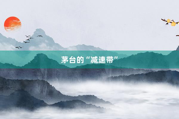 茅台的“减速带”