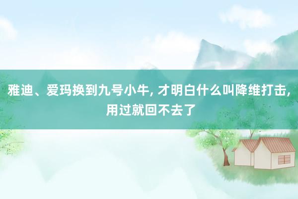 雅迪、爱玛换到九号小牛, 才明白什么叫降维打击, 用过就回不去了