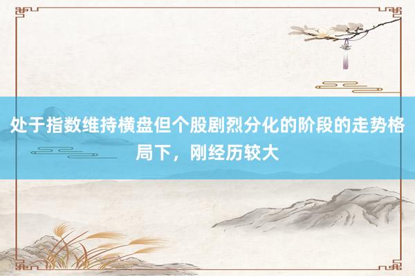处于指数维持横盘但个股剧烈分化的阶段的走势格局下，刚经历较大