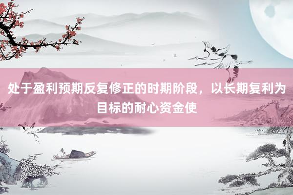 处于盈利预期反复修正的时期阶段，以长期复利为目标的耐心资金使