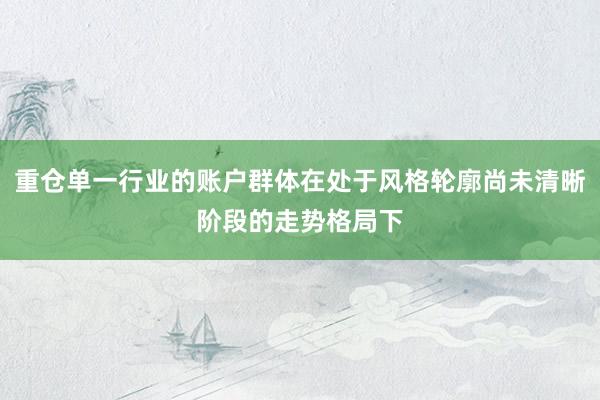 重仓单一行业的账户群体在处于风格轮廓尚未清晰阶段的走势格局下