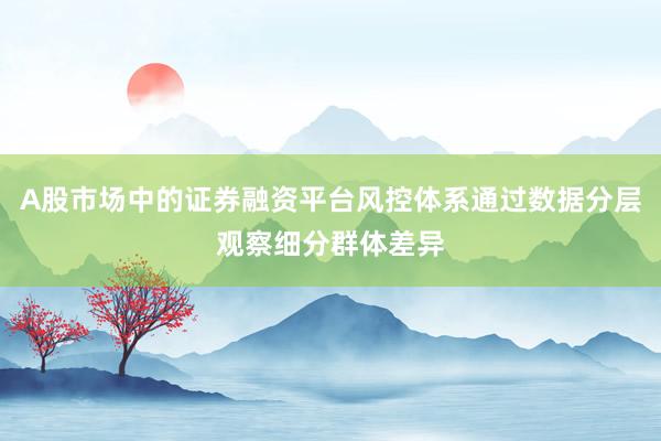 A股市场中的证券融资平台风控体系通过数据分层观察细分群体差异