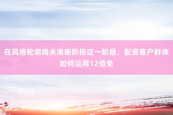 在风格轮廓尚未清晰阶段这一阶段，配资客户群体如何运用12倍免