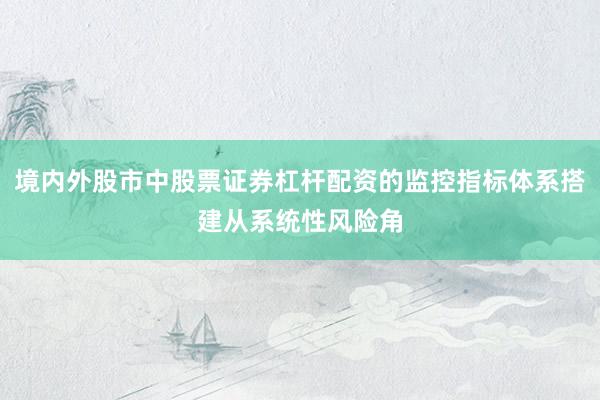 境内外股市中股票证券杠杆配资的监控指标体系搭建从系统性风险角
