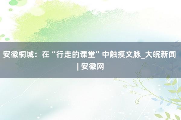 安徽桐城：在“行走的课堂”中触摸文脉_大皖新闻 | 安徽网