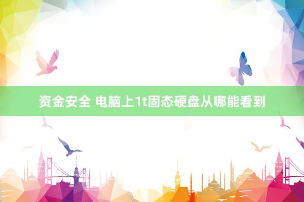资金安全 电脑上1t固态硬盘从哪能看到