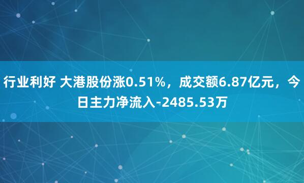 行业利好 大港股份涨0.51%，成交额6.87亿元，今日主力净流入-2485.53万
