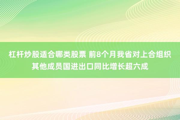 杠杆炒股适合哪类股票 前8个月我省对上合组织其他成员国进出口同比增长超六成