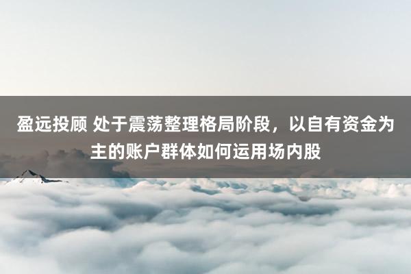 盈远投顾 处于震荡整理格局阶段，以自有资金为主的账户群体如何运用场内股