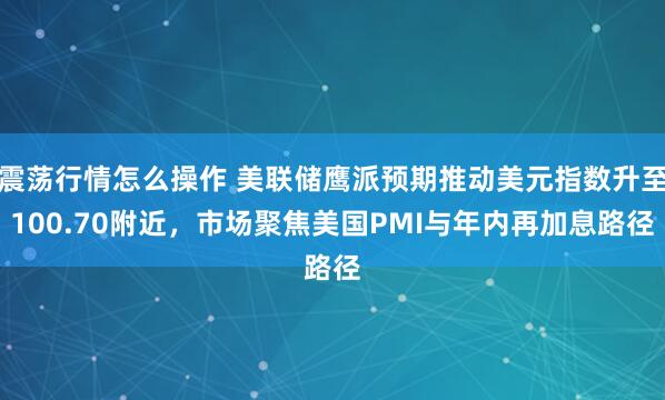 震荡行情怎么操作 美联储鹰派预期推动美元指数升至100.70附近,市场聚焦美国PMI与年内再加息路径